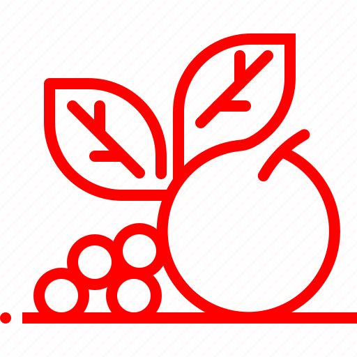 rec-red